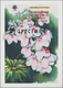 Thematik: Flora, Botanik / Flora, Botany, Bloom: Ab Ca. 1970, ALLE WELT, Sammlung Mit Ca. 350 Stck. - Otros & Sin Clasificación