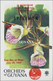 Thematik: Flora-Orchideen / Flora-orchids: 1958 (ab Ca.), ALLE WELT, Viel Guyana, Sammlung Mit Ca. 4 - Orchideen