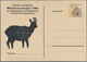 Thematik: Tiere, Fauna / Animals, Fauna: 1940/2000 (ca.), CHAMOIS/IBEX, Collection Of Apprx. 175 Cov - Otros & Sin Clasificación
