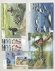 Thematik: Tiere, Fauna / Animals, Fauna: 1960/2000 (ca.), Mainly 1990s, Comprehensive MNH Accumulati - Other & Unclassified