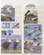Thematik: Tiere, Fauna / Animals, Fauna: 1960/2000 (ca.), Mainly Modern Issues, Comprehensive MNH Ac - Other & Unclassified