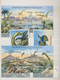 Thematik: Tiere, Fauna / Animals, Fauna: 1960/2000 (ca.), Mainly Modern Issues, Comprehensive MNH Ac - Altri & Non Classificati