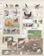 Thematik: Tiere, Fauna / Animals, Fauna: 1960/2005 (ca.), Mainly Modern Issues, Comprehensive MNH Ac - Other & Unclassified