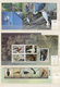 Thematik: Tiere, Fauna / Animals, Fauna: 1960/2010 (ca.), Comprehensive MNH Accumulation In Four Sto - Other & Unclassified