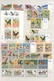 Thematik: Tiere, Fauna / Animals, Fauna: 1965/2000 (ca.), Mainly Modern Issues, Comprehensive MNH Ac - Altri & Non Classificati