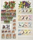 Thematik: Tiere, Fauna / Animals, Fauna: 1970/2000 (ca.), Mainly Modern Issues, Comprehensive MNH Ac - Other & Unclassified