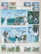 Thematik: Tiere, Fauna / Animals, Fauna: 1970/2000 (ca.), Mainly Modern Issues, Comprehensive MNH Ac - Other & Unclassified