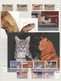 Thematik: Tiere, Fauna / Animals, Fauna: 1977/2006 (ca.), Mainly Modern Issues, Comprehensive MNH Ac - Sonstige & Ohne Zuordnung