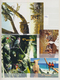 Thematik: Tiere, Fauna / Animals, Fauna: 1980/2000 (ca.), Mainly Modern Issues, Comprehensive MNH Ac - Altri & Non Classificati