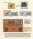 Delcampe - Thematik: Tiere-Hunde / Animals-dogs: From 1806 On (approx.), All World. Here Not Only One Dog Barks - Chiens