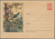 Thematik: Tiere-Vögel / Animals-birds: 1956/89, Collection Only USSR Ca. 167 Pictured Postal Station - Otros & Sin Clasificación