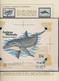 Thematik: Tiere-Meeressäuger (u.a. Wale) / Animals-aquatic Mammals: 1850/2010 (ca.), WHALES AND DOLP - Autres & Non Classés
