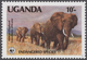 Thematik: WWF: 1983/1999, WWF - World Wide Fund For Nature, Nice Collection With Some Mint Never Hin - Other & Unclassified