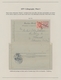 Delcampe - Bosnien Und Herzegowina (Österreich 1879/1918): 1850/1918, Exhibit Collection On 134 Pages (plus A F - Bosnia Herzegovina
