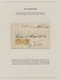 Delcampe - Bosnien Und Herzegowina (Österreich 1879/1918): 1850/1918, Exhibit Collection On 134 Pages (plus A F - Bosnia Herzegovina