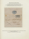 Delcampe - Finnland - Ganzsachen: 1845/60 1st Part Of The International Gold Medal Collection "Postal Stationer - Ganzsachen