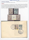 Delcampe - Jugoslawien: 1924/1941, Collection Of 31 Covers/cards (plus Some U/m Material) On Written Up Album P - Cartas & Documentos