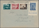 Delcampe - Kroatien: 1941/1943, Assortment Of 22 (mainly Commercial) Covers/cards Incl. Used Stationeries, Incl - Kroatien