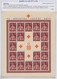 Kroatien: 1941/1945, Specialised U/m Assortment On Written Up Album Pages, Comprising Especially A N - Croacia