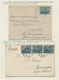Polen: 1921/1925, Spezialised Collection On Self Constructed Album Pages Reches From Farmer, Koperni - Cartas & Documentos
