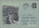 Rumänien - Ganzsachen: 1941/65 Holding Of About 700 Almost Exclusively Unused Picture Postal Station - Ganzsachen