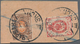 Russland: 1900's-1910's: Much More Than 1000 Parts Of Parcel Cards, Obviously All Franked By 1889-19 - Briefe U. Dokumente