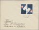 Delcampe - Schweiz: 1854-Moderne: Mehr Als 600 Briefe, Postkarten, Ansichtskarten Etc., Dabei Einige Belege Mit - Lotes/Colecciones