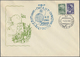 Sowjetunion: 1958/70 Little Stock Of Approx. 120 Pictured Envelopes And Cards And Postal Stationerie - Usati