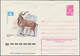 Delcampe - Sowjetunion - Ganzsachen: 1979 Accumulation Of Ca. 1.240 Unused Picture Postal Stationery Envelopes, - Sin Clasificación