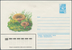 Delcampe - Sowjetunion - Ganzsachen: 1979 Accumulation Of Ca. 1.240 Unused Picture Postal Stationery Envelopes, - Ohne Zuordnung