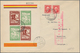 Spanien - Lokalausgaben: 1936/1939, Civil War Issues, Sophisticated Balance Of Stamps And Souvenir S - Emissioni Nazionaliste