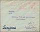 Europa: 1914/1970, Interesting Lot Of Several Hundred Covers And Card Including Fieldpost Ww 1 And W - Otros - Europa
