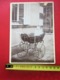 --☛ Années (±)1906 SAUSSET-LES-PINS ,BéBé & LANDAU POUSSETTE VINTAGE Photographie D'ordre Privé-Photo Originale Photos - Objets