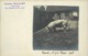 ELEVAGE DE COCHONS - Lucien Wallet,à Gannes Par Ansauvillers (oise) ,Verrat,1er Prix Evreux 1903,carte Photo. - Elevage