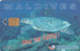 MALDIVES - Save The Turtle!, CN : 256MLDGIB, Used - Maldive