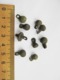 Ancient Vikings Bronze Buttons 10-13 Centuries/Medieval Buttons - Arqueología
