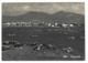 928 - OLBIA PANORAMA 1950 CIRCA - Olbia