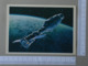 RUSSIA - SPACE -  TRANSPORT -   2 SCANS    - (Nº31353) - Space