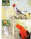 Brazil Maxi Cards - FDC