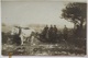 Weißrußland, Raum Smorgon, Soldaten Hund Schlitten, Feldpost 3.RD 1915 (39049) - War 1914-18