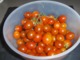 30 Graines Tomates Cocktail BROWN BERRY BIO - Andere & Zonder Classificatie