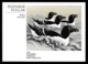 ICELAND 1986 Birds / Razorbill: Postcard MINT/UNUSED - Enteros Postales