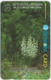Bulgaria - Betkom - Spurred Helleborine Orchids - 40BULG - 07.1996, 30.000ex, Used - Bulgarie
