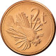 Monnaie, Papua New Guinea, 2 Toea, 2004, SPL, Bronze, KM:2 - Papoea-Nieuw-Guinea