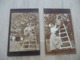 2 Cartes Photos Provence Arlésienne Cueillette De Figues Rare - Landbouw