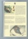 WWF 1990 MIKRONESIEN / MICRONESIA / MICRONESIE - Mi. 174-177**, Ensemble Complet -  Car115 - Collections, Lots & Séries