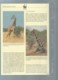 KENYA - 1989 - PROTECTION DE LA NATURE - LA GIRAFE RETICULEE - WWF - N° 474/477, Ensemble Complet -  Car117 - Lots & Serien