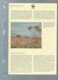 Delcampe - KENYA - 1989 - PROTECTION DE LA NATURE - LA GIRAFE RETICULEE - WWF - N° 474/477, Ensemble Complet -  Car117 - Lots & Serien