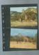 Delcampe - KENYA - 1989 - PROTECTION DE LA NATURE - LA GIRAFE RETICULEE - WWF - N° 474/477, Ensemble Complet -  Car117 - Lots & Serien