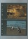 Delcampe - WWF - ECUADOR - FAUNA GALAPAGOS - 1992, Ensemble Complet -  Car118 - Lots & Serien